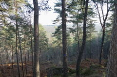 Around Veneux-les-Sablons