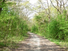 Bassin de l'Îlon