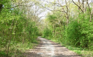 Bassin de l'Îlon