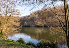 Bois de Clamart