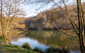 Bois de Clamart