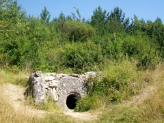 Bois de Morval