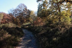 Bois des Cinq-Cents Arpents