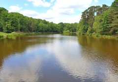 Étang de Coupe-Gorge