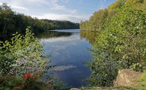 Étang de la Tour