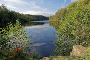 Étang de la Tour