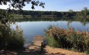 Étang du Corra by Forêt de Saint-Germain