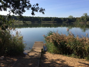Étang du Corra par la forêt de Saint-Germain