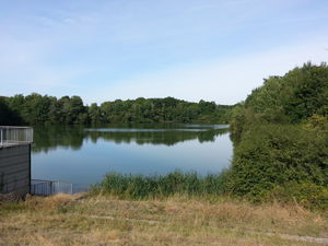 Étang du Manet par le Bois de la Garenne