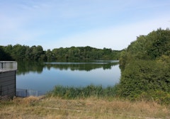 Étang du Manet par le Bois de la Garenne