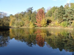 Étangs de Montbron