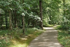 Forêt de Ferrières