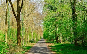 Forêt de Saint-Germain from Château du Val