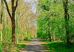 Forêt de Saint-Germain from Château du Val