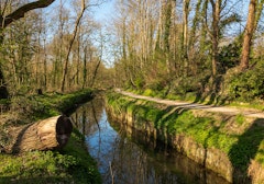Forêt de Verrières and Bièvre