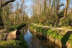 Forêt de Verrières and Bièvre