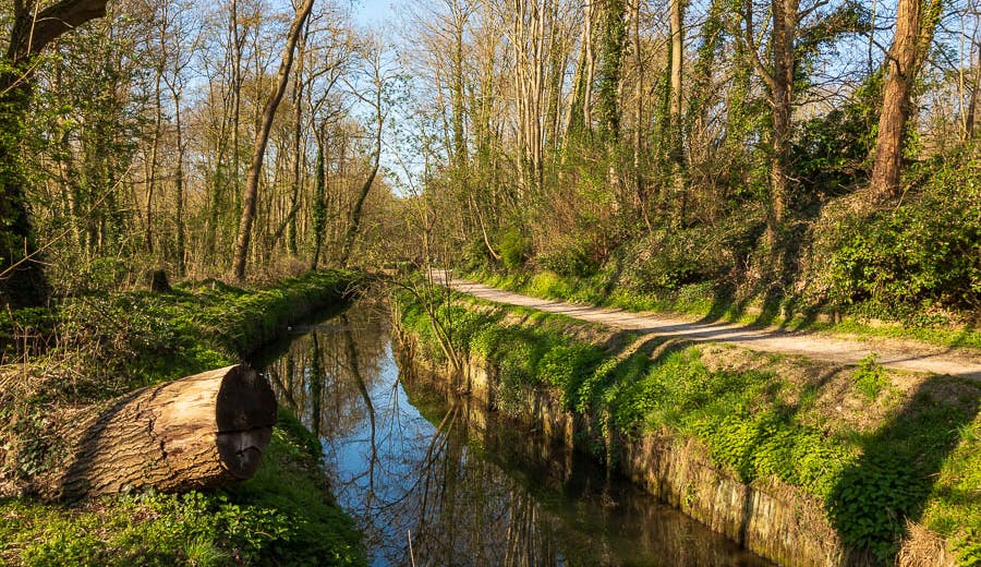 Forêt de Verrières and Bièvre Hika Trail