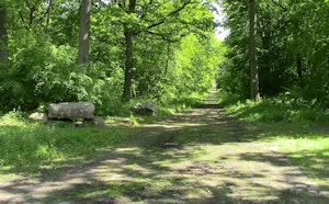 Forêt de l'Isle-Adam