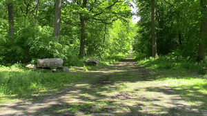 Forêt de l'Isle-Adam