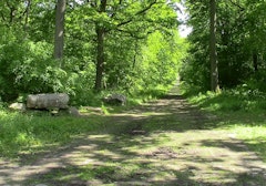 Forêt de l'Isle-Adam