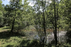 Forêts des Flambertins et d'Abbecourt