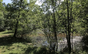 Forêts des Flambertins et d'Abbecourt
