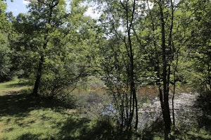 Forêts des Flambertins et d'Abbecourt