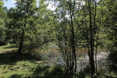 Forêts des Flambertins et d'Abbecourt