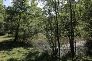 Forêts des Flambertins et d'Abbecourt