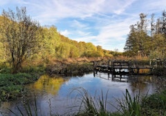 From Essarts-le-Roi to Saint-Rémy-lès-Chevreuse