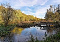 From Essarts-le-Roi to Saint-Rémy-lès-Chevreuse