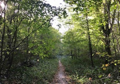 From Villeneuve-Saint-Georges to Boissy-Saint-Léger