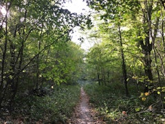 From Villeneuve-Saint-Georges to Boissy-Saint-Léger