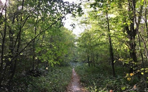 From Villeneuve-Saint-Georges to Boissy-Saint-Léger