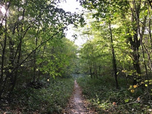 From Villeneuve-Saint-Georges to Boissy-Saint-Léger