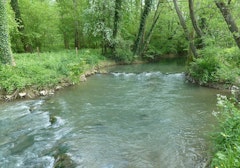 Grand Morin