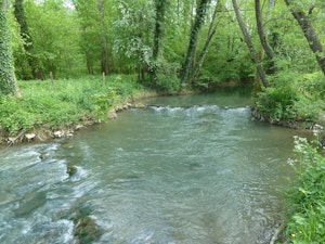 Grand Morin