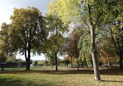 Île Saint-Germain