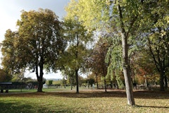 Île Saint-Germain