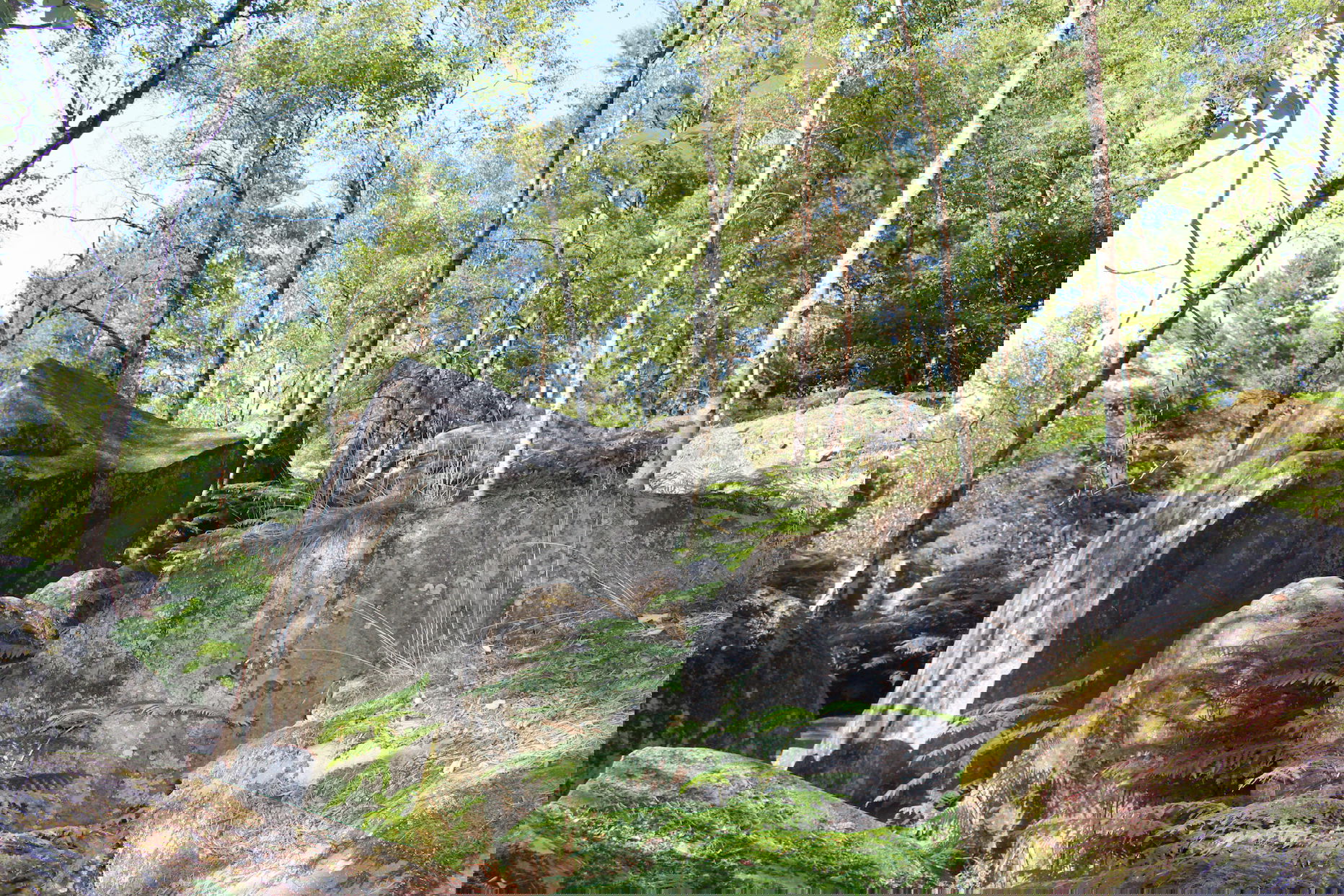 Day 1: From Fontainebleau to Barbizon