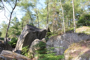 Jour 1 : de Fontainebleau à Barbizon