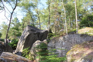 Jour 1 : de Fontainebleau à Barbizon