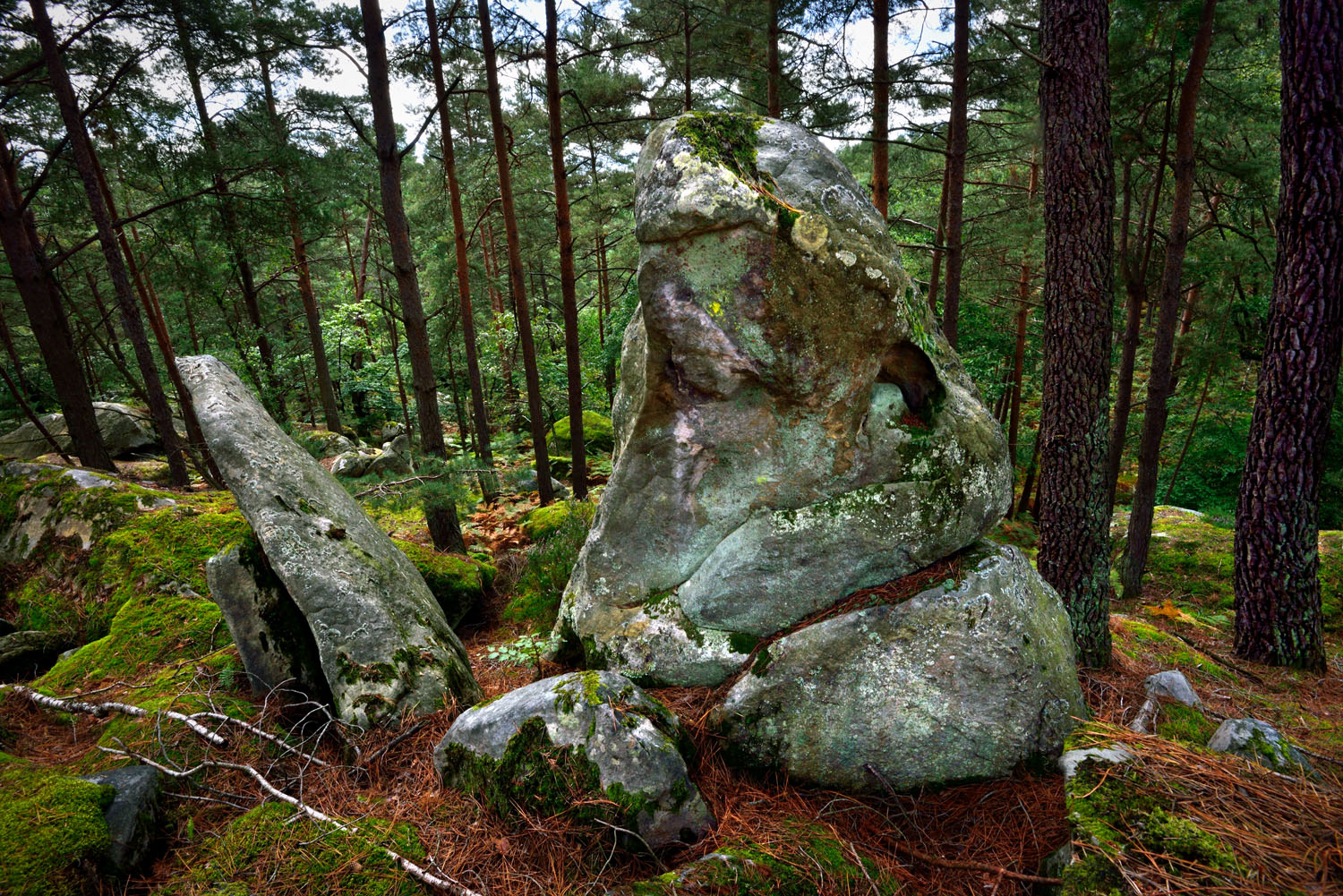 Day 2: From Barbizon to Fontainebleau