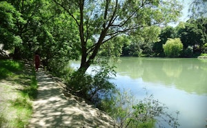 Marne River from Saint-Maur to Joinville