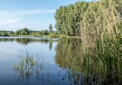 Lac de Saulx-Les-Chartreux