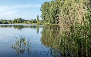 Lac de Saulx-Les-Chartreux