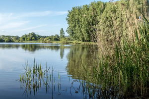 Lac de Saulx-Les-Chartreux