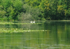 Marais de Fontenay