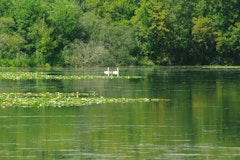 Marais de Fontenay
