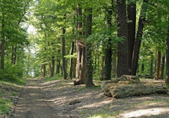Montéclin and Bel-Air